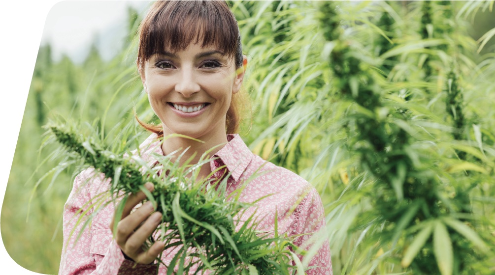 Woman looking well in the hemp fields